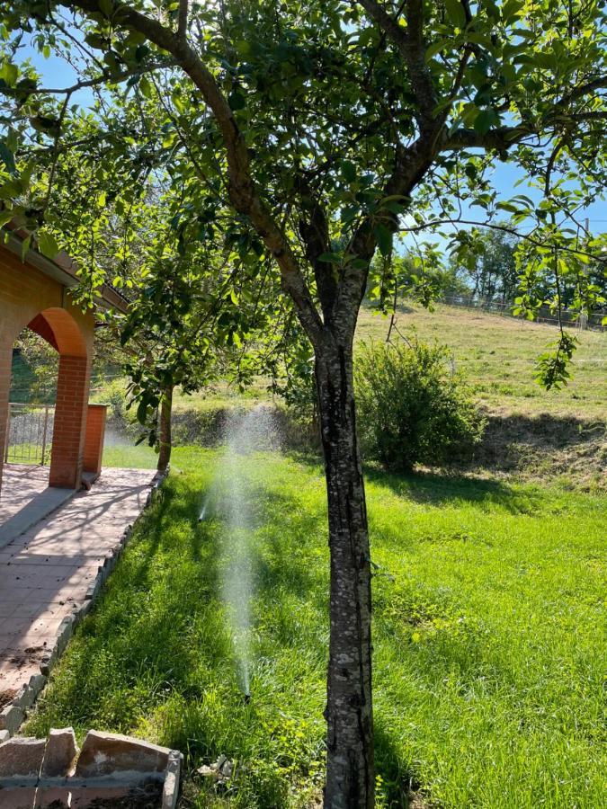 Luxury Villa Arianna Tarano Zewnętrze zdjęcie